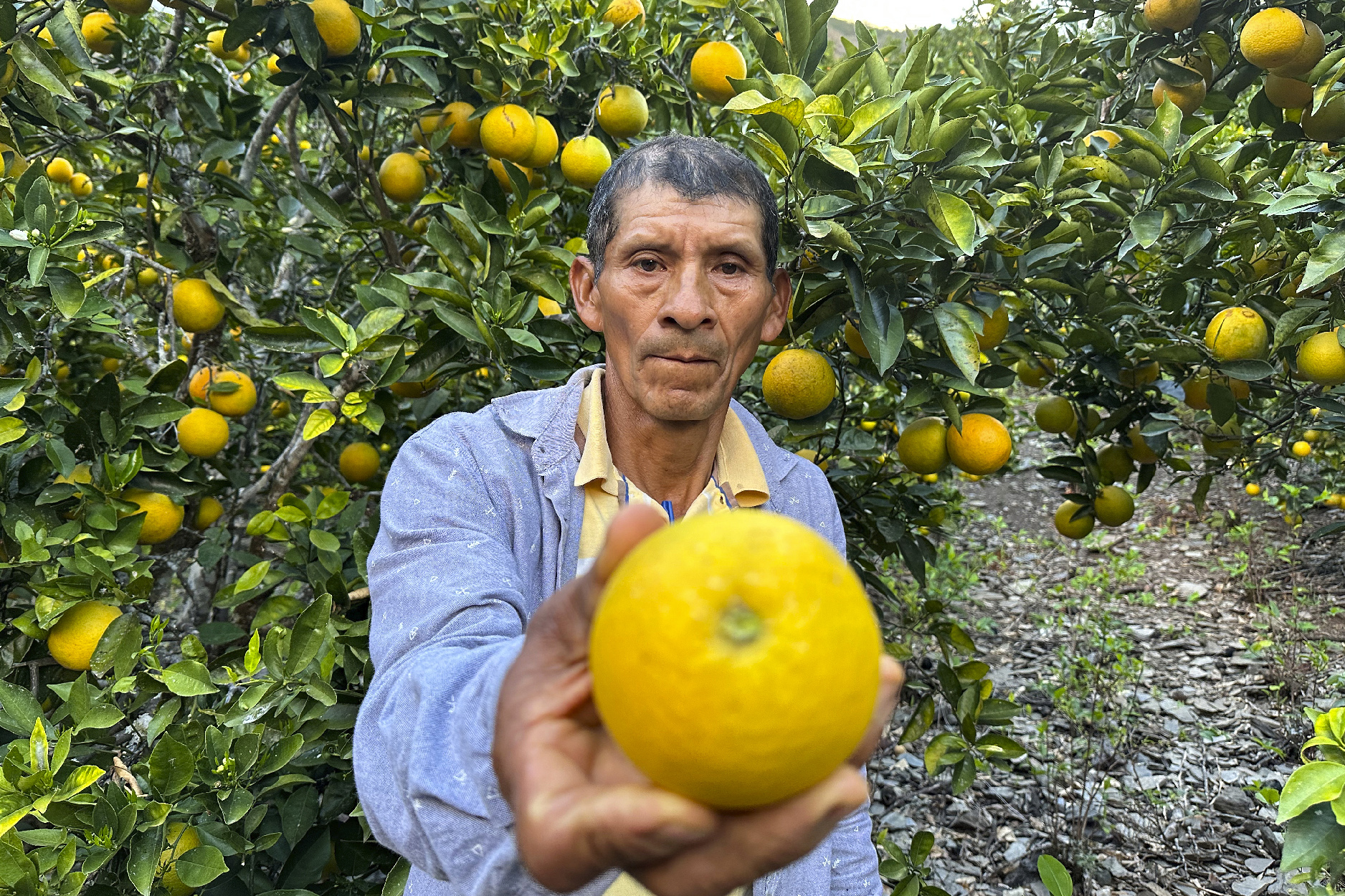 Imprimir Nicolas Gamio Huacac