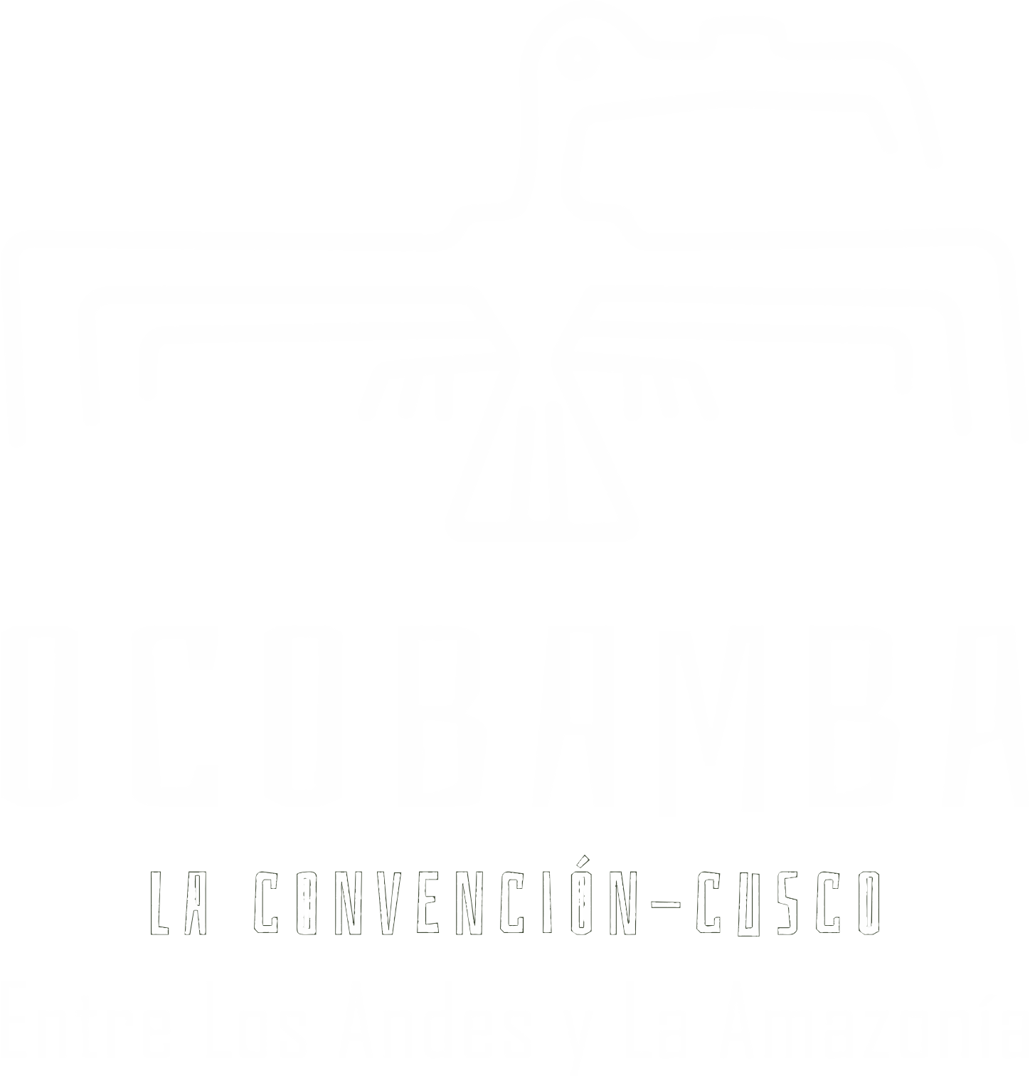 logo blanco